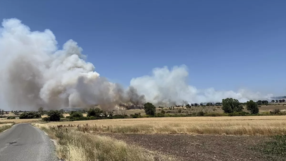 Çanakkale'de Tarım Arazisinde Yangın Kontrol Altına Alındı