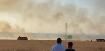 Biga'da Tarım Arazisinde Yangın Kontrol Altına Alındı