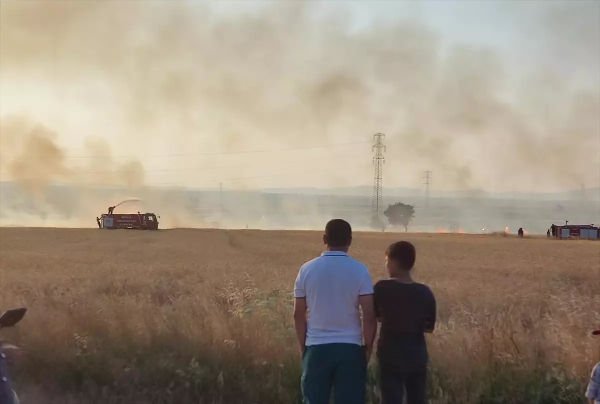 Biga'da Tarım Arazisinde Yangın Kontrol Altına Alındı