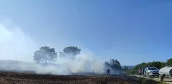 Çanakkale'de Tarım Arazisinde Yangın Söndürüldü