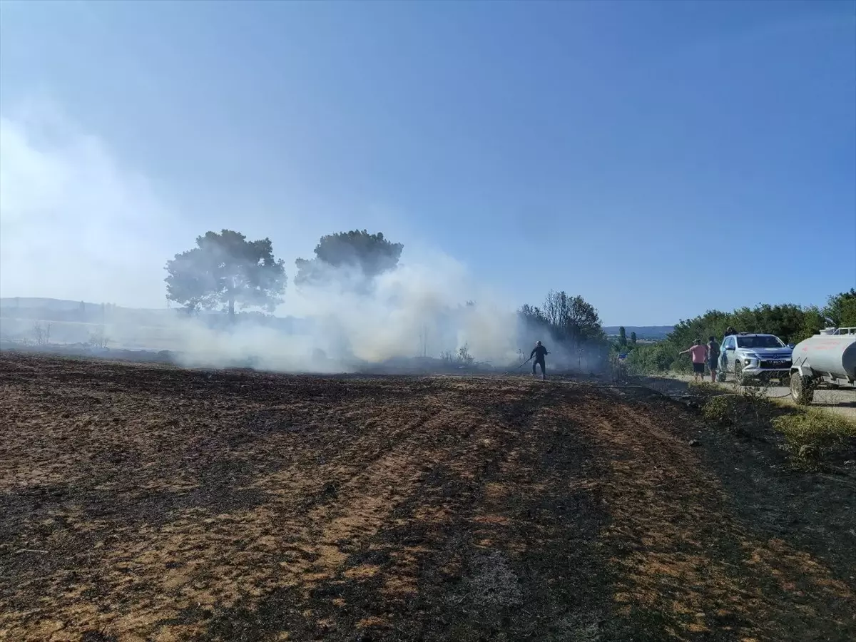 Çanakkale'de Tarım Arazisinde Yangın Söndürüldü