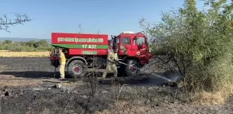 Çanakkale'de Tarım Arazisinde Yangın Çıktı