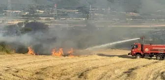 Çanakkale'de Tarım Arazisinde Yangın Çıktı