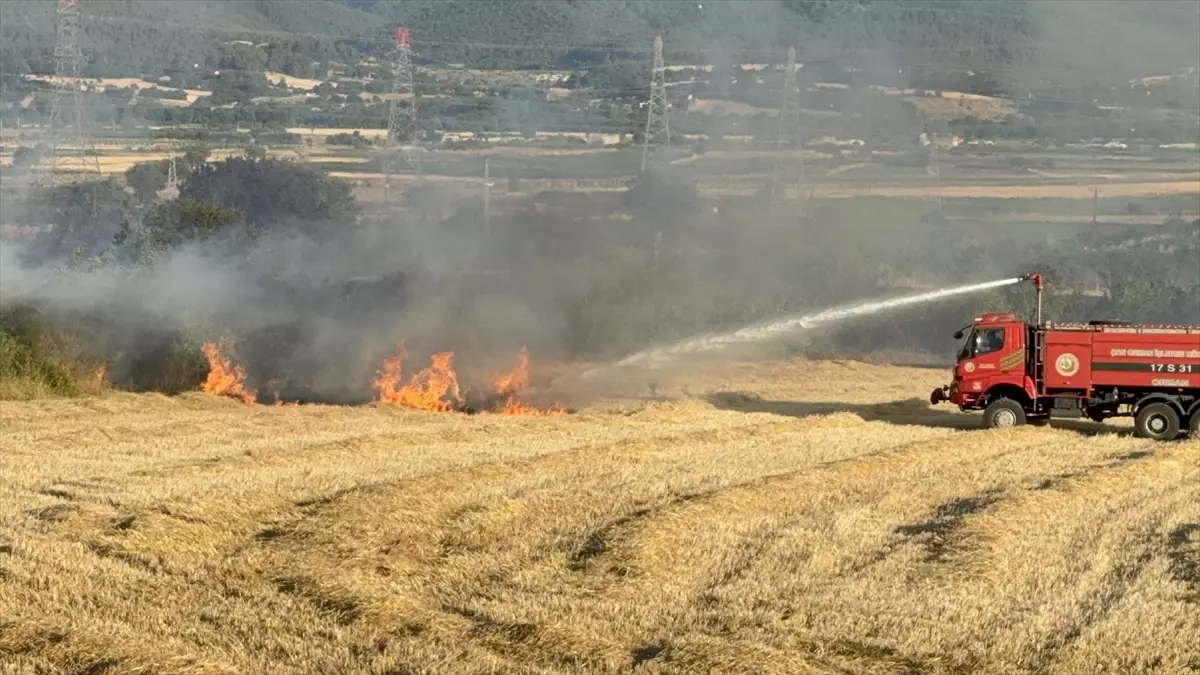 Çanakkale'de Tarım Arazisinde Yangın Çıktı