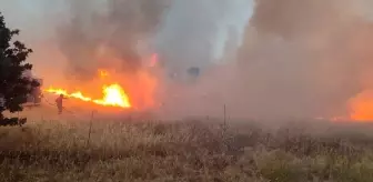 Çanakkale'de Tarım Arazisinde Yangın Çıktı