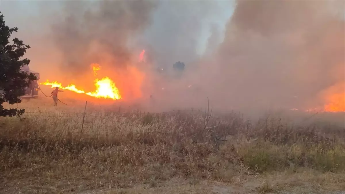 Çanakkale'de Tarım Arazisinde Yangın Çıktı