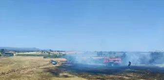 Çanakkale'de Tarım Arazisinde Yangın Kontrol Altına Alınmaya Çalışılıyor