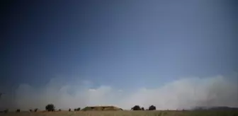 Çanakkale'de Tarım Arazisinde Yangın Çıktı