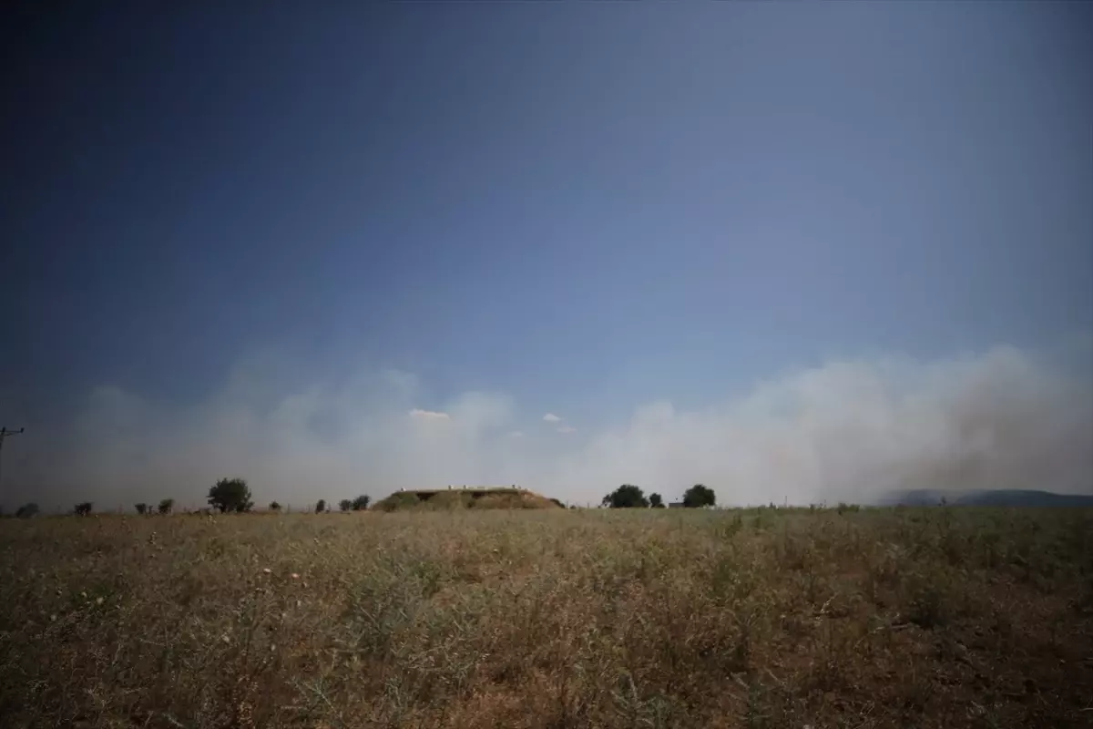 Çanakkale'de Tarım Arazisinde Yangın Çıktı