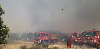 Çanakkale'deki Tarım Arazisinde Yangın: Hava ve Kara Müdahalesi Başlatıldı
