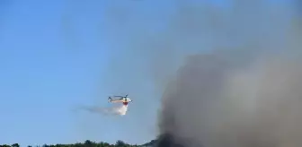 Çanakkale Lapseki'de Tarım Arazisinde Yangın