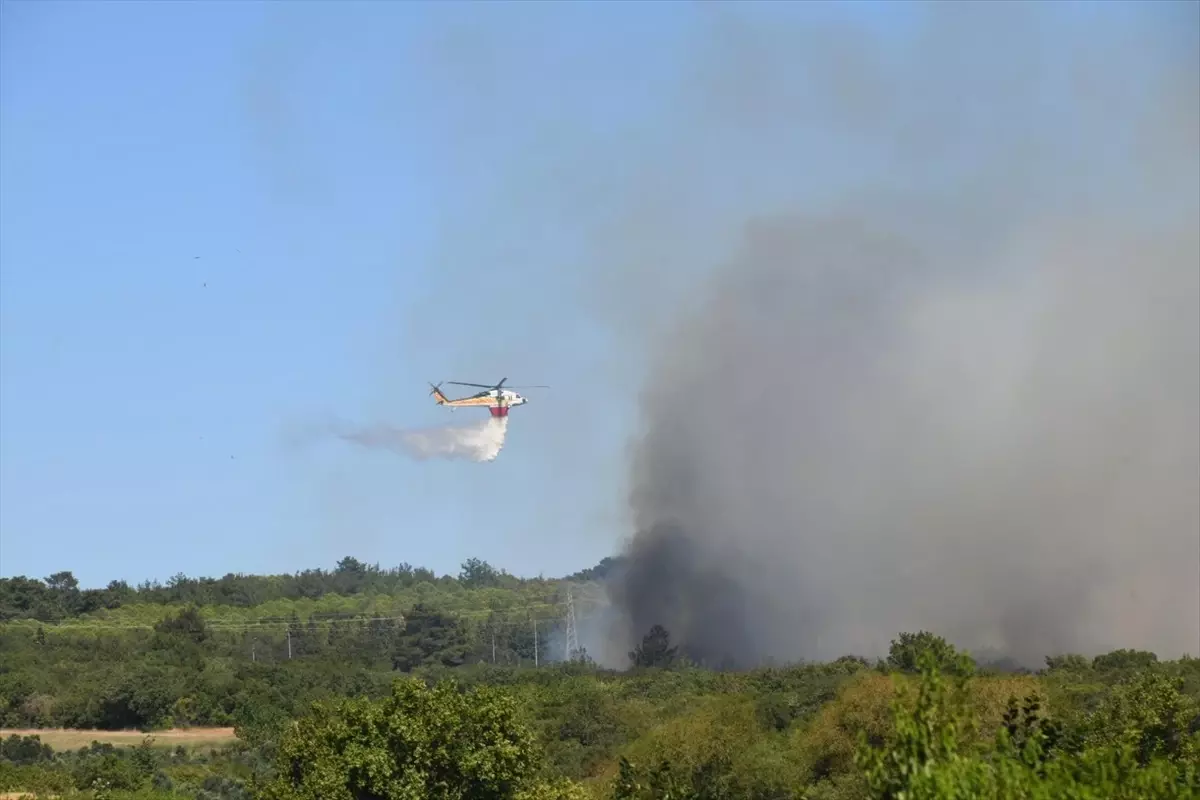 Çanakkale Lapseki'de Tarım Arazisinde Yangın