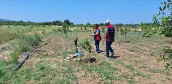 Çanakkale'de Tarımsal Sulama Elektrik Abonelikleri Denetleniyor