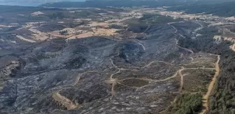 Çanakkale'de Kontrol Altına Alınan Orman Yangını İnceleniyor