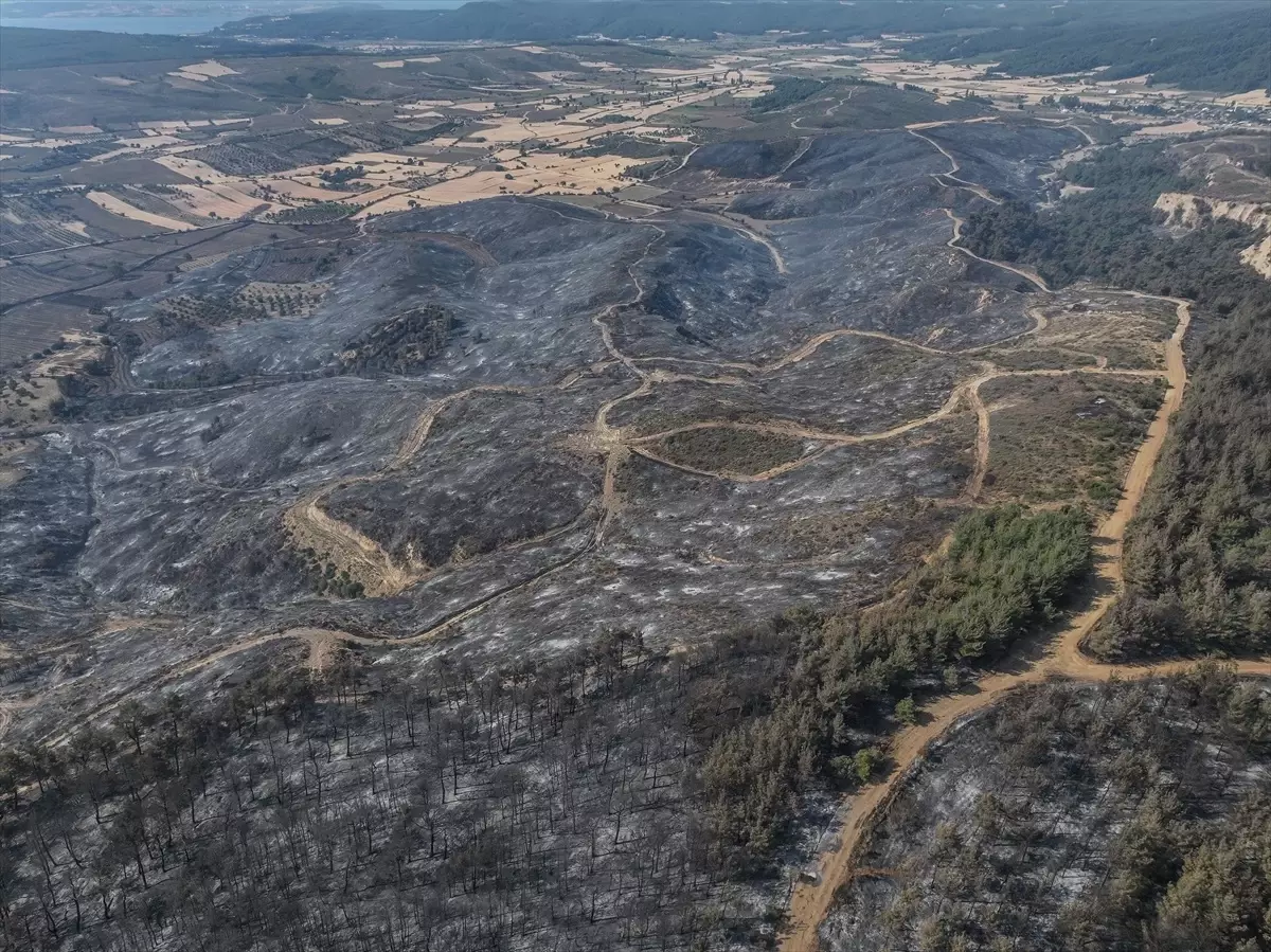 Çanakkale'de Kontrol Altına Alınan Orman Yangını İnceleniyor