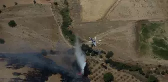 Çanakkale Ayvacık'taki Zirai Yangına Hava ve Kara Müdahalesi