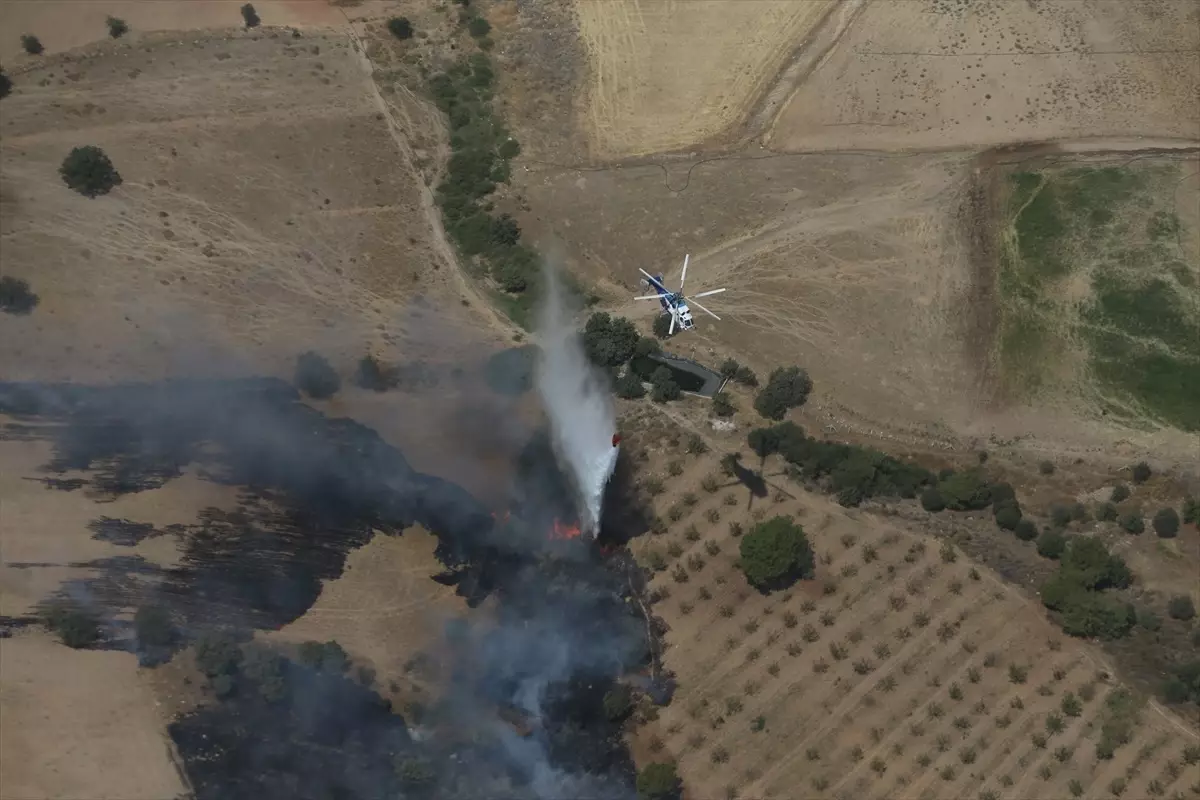 Çanakkale Ayvacık'taki Zirai Yangına Hava ve Kara Müdahalesi