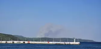 Çanakkale Gelibolu'da Yangın: Havadan ve Karadan Mücadele Başlatıldı
