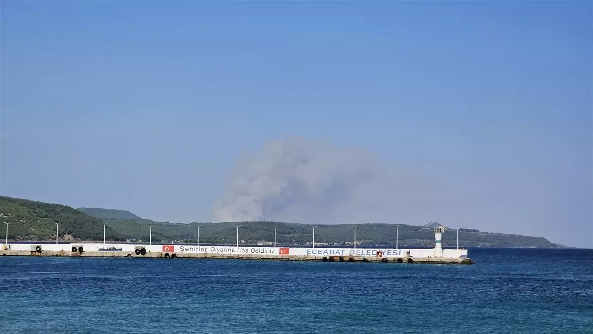 Çanakkale Gelibolu'da Yangın: Havadan ve Karadan Mücadele Başlatıldı