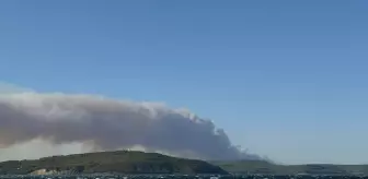 Çanakkale'de Orman Yangınına Müdahale Devam Ediyor