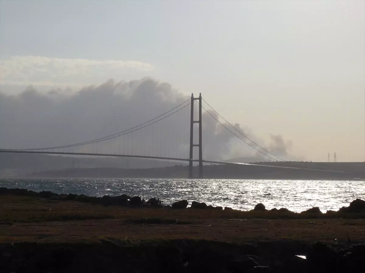 Çanakkale'de Orman Yangınına Havadan ve Karadan Müdahale