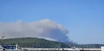 Çanakkale'de Orman Yangınına Hızlı Müdahale