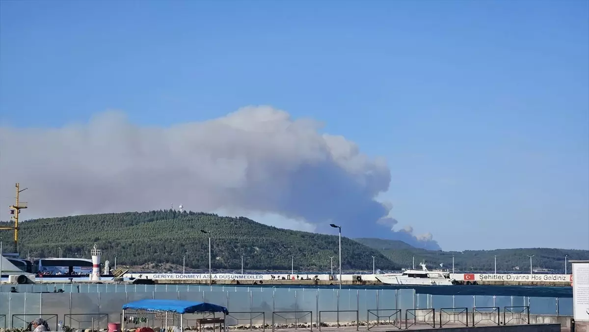 Çanakkale Gelibolu'da Orman Yangını: 5 Köy Tahliye Edildi