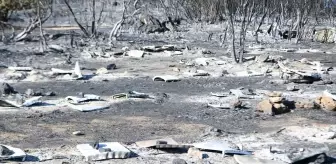 Çanakkale'de Yangın Arıcılığı Vurdu: 150 Kovan Zarar Gördü