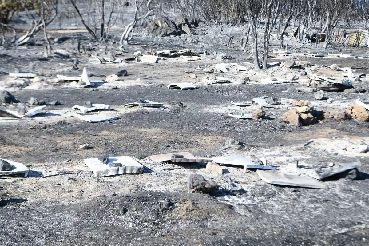 Çanakkale'de Yangın Arıcılığı Vurdu: 150 Kovan Zarar Gördü