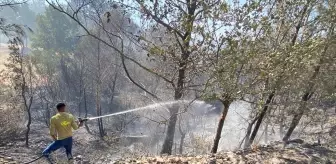 Çanakkale'deki Yangınla İlgili Ekipler Çalışmalarını Sürdürüyor
