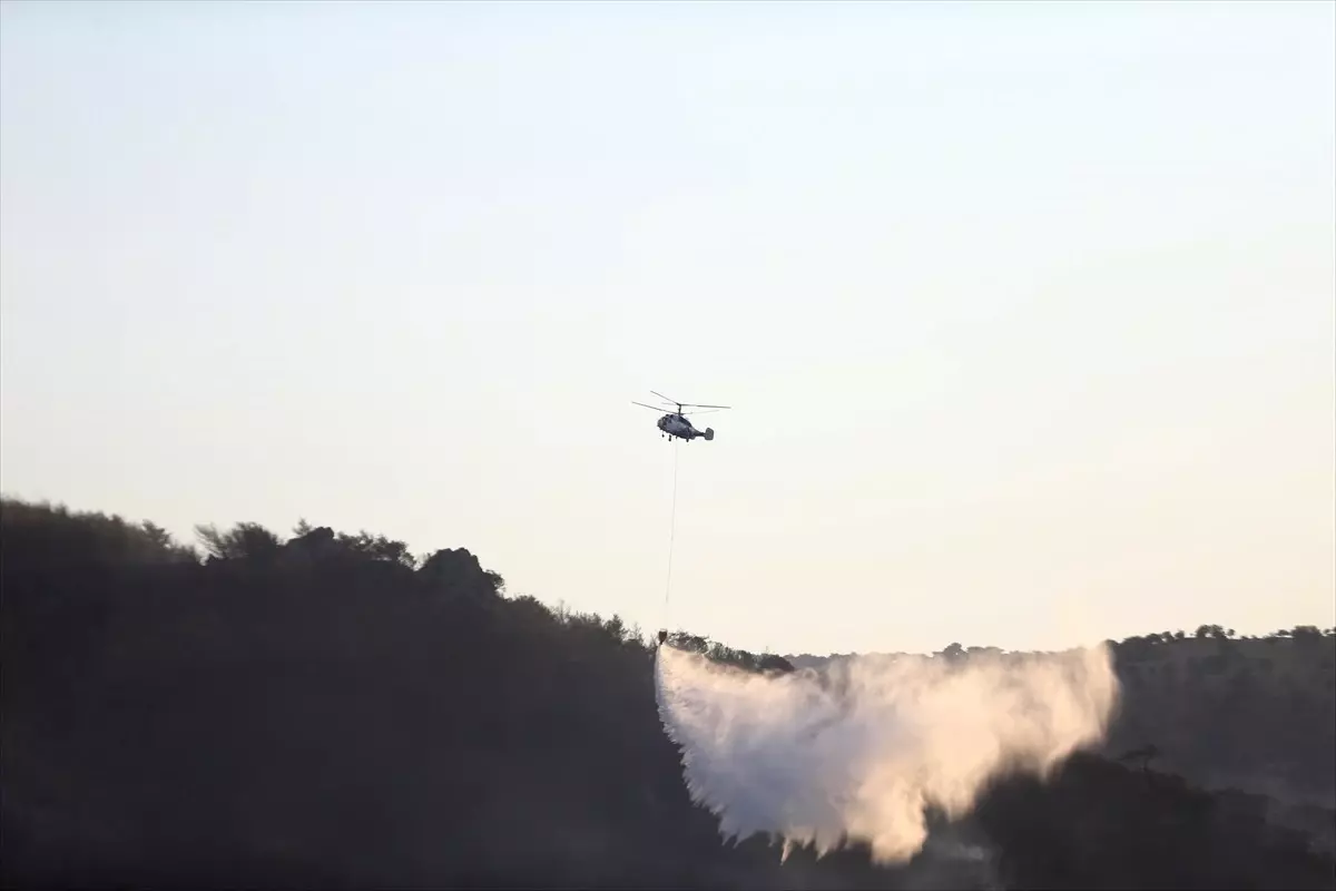 Çanakkale'deki Orman Yangını Kontrol Altına Alınıyor