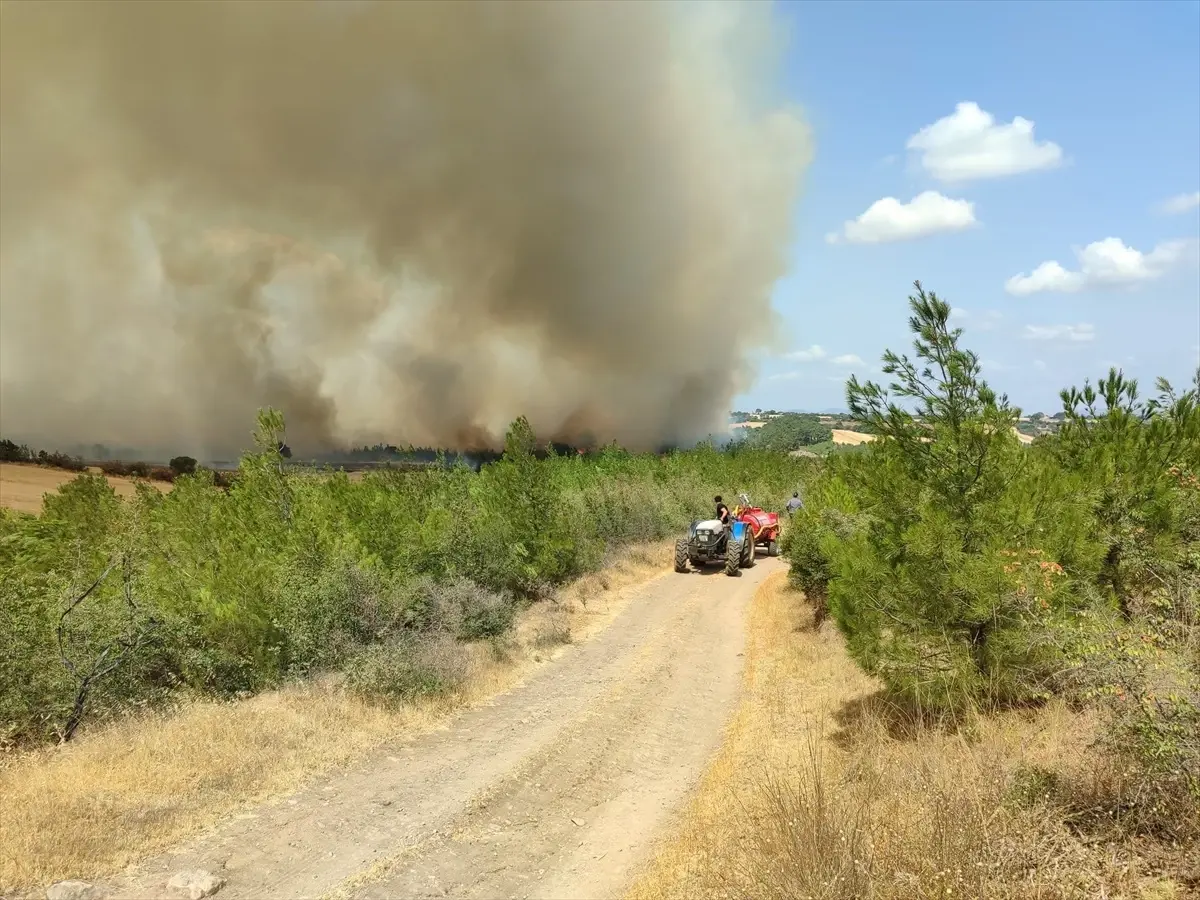 Çanakkale'de Orman Yangını: Yangına Hava ve Karadan Müdahale