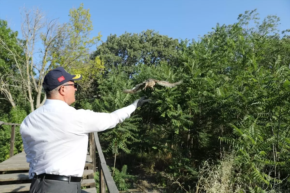 Çanakkale Valisi Kuşları Doğaya Döndürdü