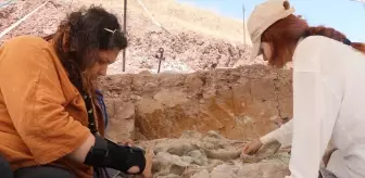 Çankırı'da 9 Milyon Yıl Önce Yaşamış Hayvanlara Ait Fosiller Bulundu
