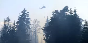 Çankırı'da Orman Yangınına Müdahale Devam Ediyor