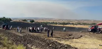 Çankırı'da Yangın: 100 Dekar Arazi Zarar Gördü, Çok Sayıda Hayvan Telef Oldu