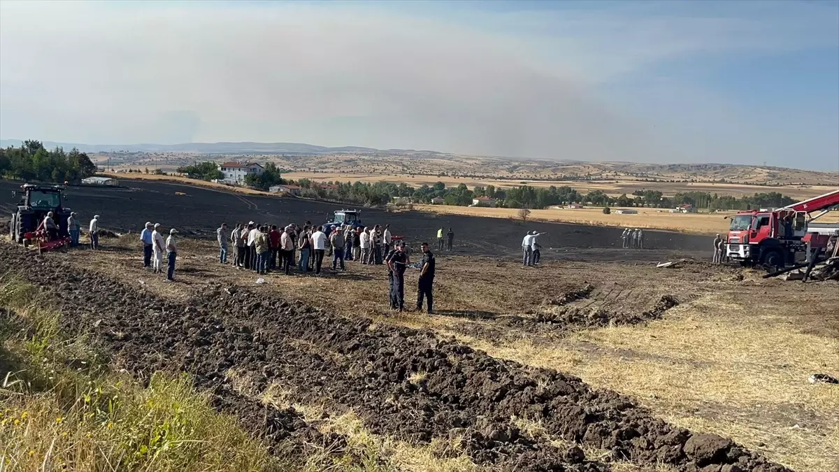 Çankırı'da Yangın: 100 Dekar Arazi Zarar Gördü, Çok Sayıda Hayvan Telef Oldu