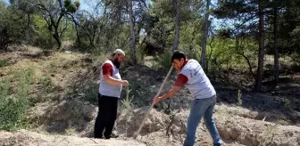 Çankırı Belediyesi'nden Fidan Dikme Projesi