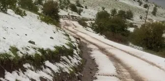 Çerkeş'te Dolu Etkili Oldu, Sel Riski Uyarısı Yapıldı