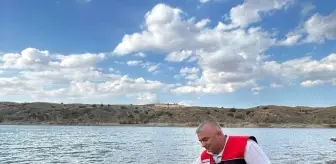 Çankırı'da 11 Gölete 626 Bin Sazan Yavrusu Bırakıldı