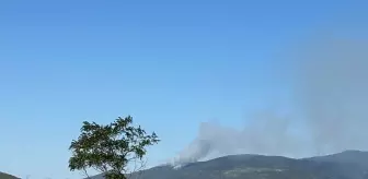 Ilgaz'da Orman Yangınına Müdahale Başladı