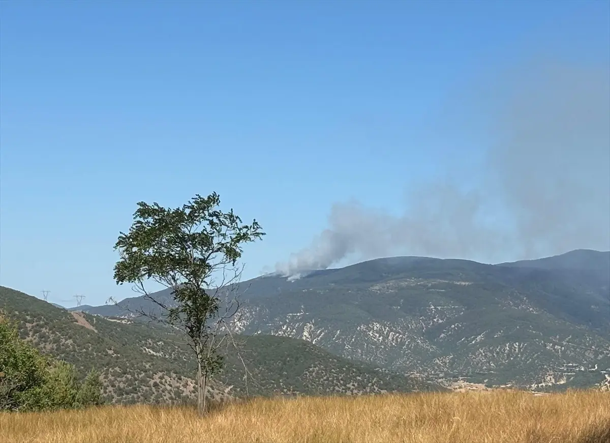 Ilgaz'da Orman Yangınına Müdahale Başladı