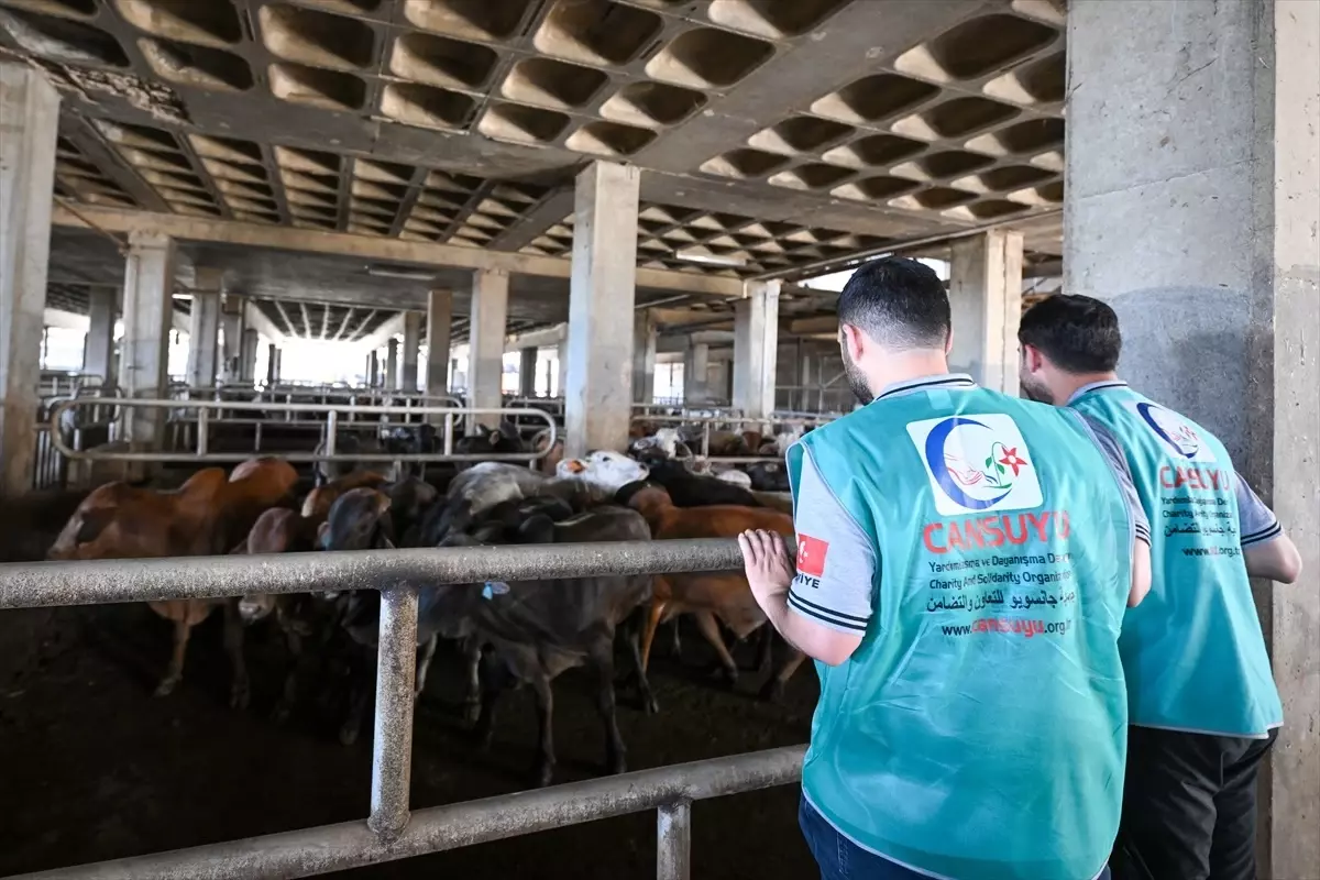 Cansuyu Derneği, Lübnan’da 110 Kurban Kesim Hedefli Çalışmalarını Tamamladı