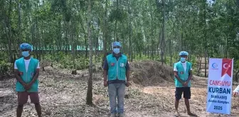 Cansuyu Derneği, Bangladeş'te Arakan Mültecileri İçin Kurban Kesiminde Bulunacak