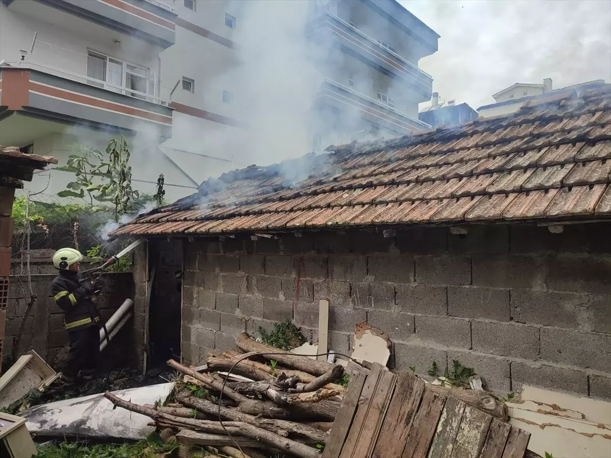 Samsun Çarşamba'da Odunlukta Yangın Çıktı