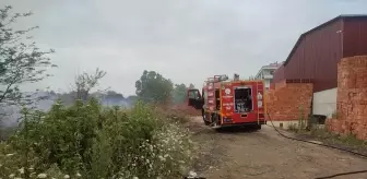 Samsun'da Sazlık Alanda Yangın Çıktı, İtfaiye Ekipleri Müdahale Etti