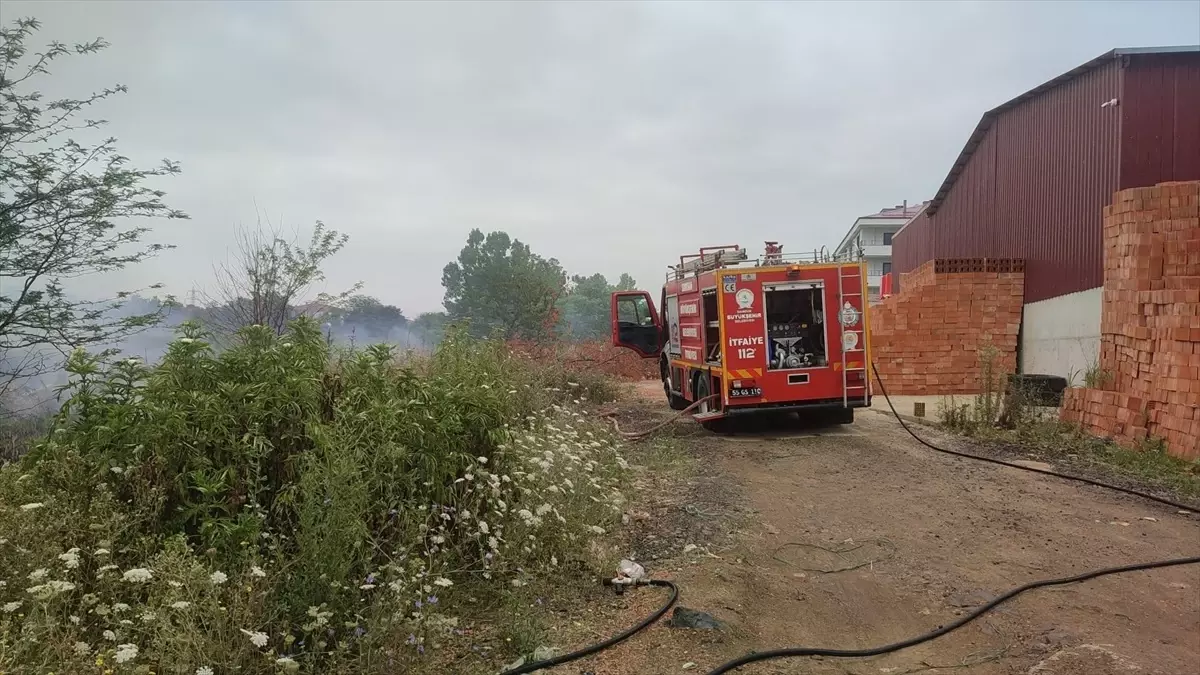 Samsun'da Sazlık Alanda Yangın Çıktı, İtfaiye Ekipleri Müdahale Etti