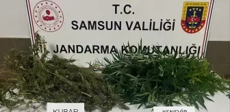 Samsun'da Uyuşturucu Operasyonu: 1 Şüpheli Gözaltında