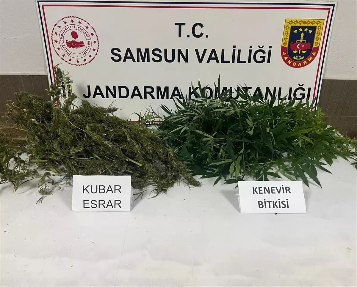 Samsun'da Uyuşturucu Operasyonu: 1 Şüpheli Gözaltında