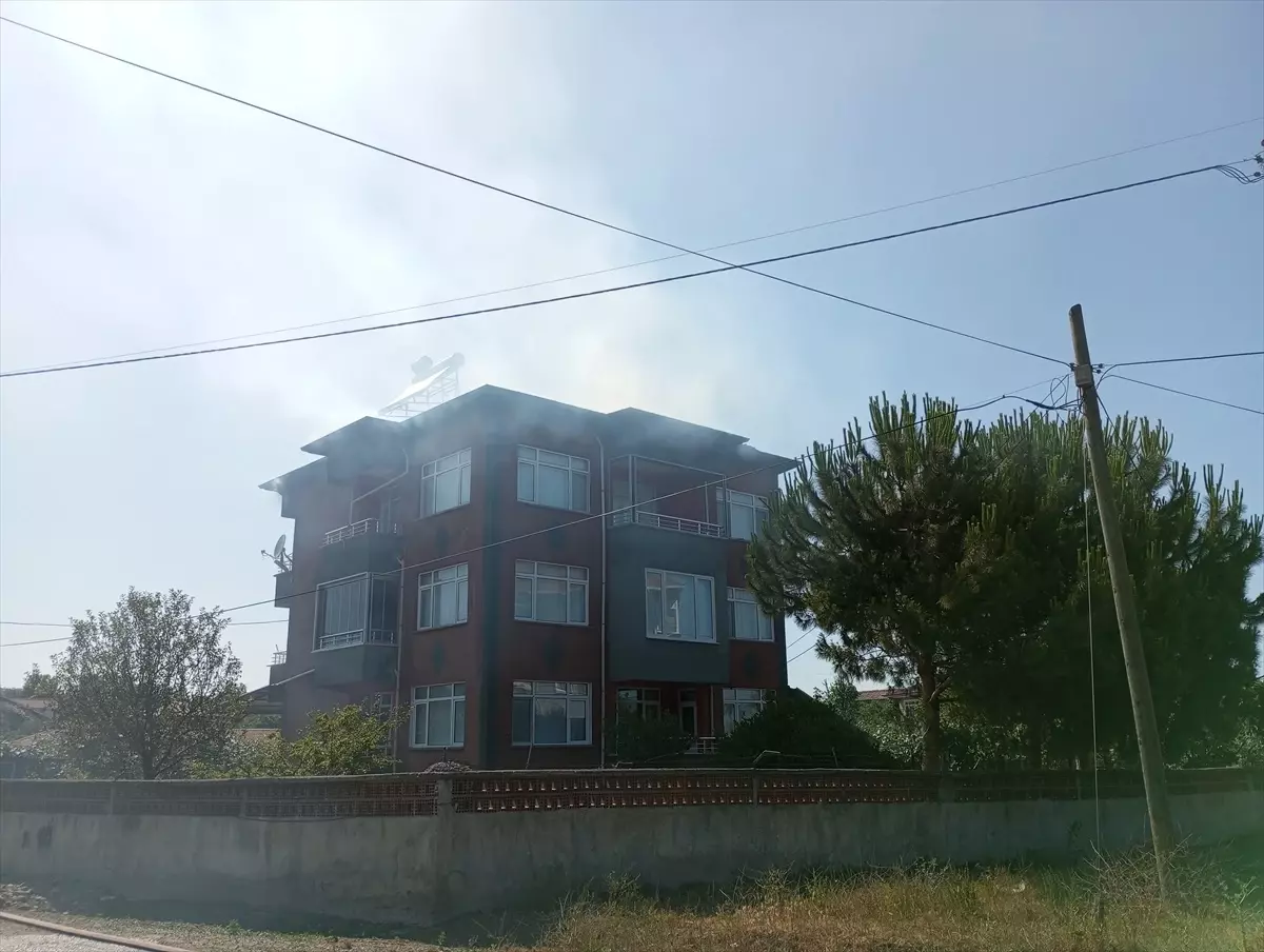 Samsun'un Çarşamba ilçesinde yangınlar hasara yol açtı